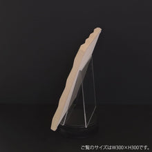 ギャラリービューアジグザグ-Sand Beige-60cm×30cmに読み込んでビデオを見る
